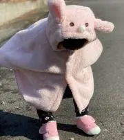 プーさん
