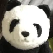 みんちゃの画像
