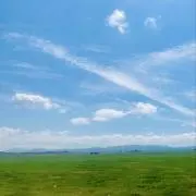 鼻セレブの画像