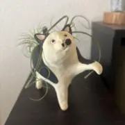 MIEの画像