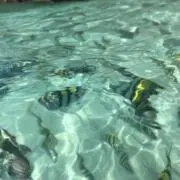 zumii003の画像