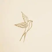 aya＊aya