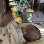 章パパの画像