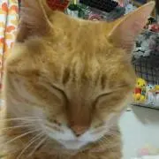 にぁん♡