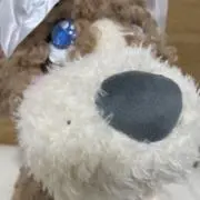 てらち(プロフ必読‼︎)の画像