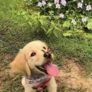 kouの画像