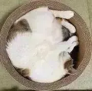ぱんやさんの画像