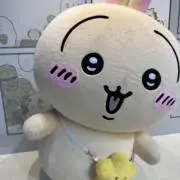 マイの画像