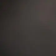 花娘のママの画像