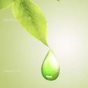 なつひでの画像