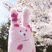 まぐまぐ ☺︎ 値下げまとめ買いのみ⭕️の画像