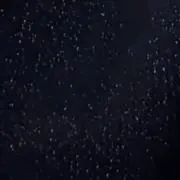 みの画像