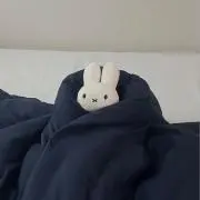 断捨離中ですの画像