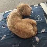 あいみん