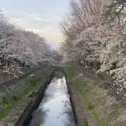 りく