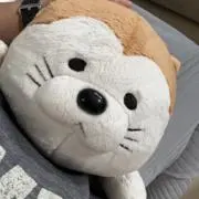 よしだの画像