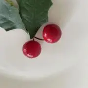 りんごの画像