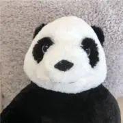 kuma