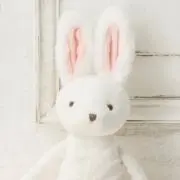 COOKYの画像
