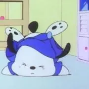 ぽちゃの画像