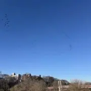 yuuukariの画像