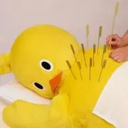 とりの画像