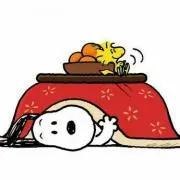 ぽけの画像