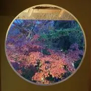 moon ☆お値引不可☆プロフィール必読