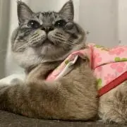 ラム