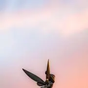 yt☆の画像