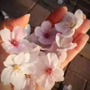 ゆきうさぎ