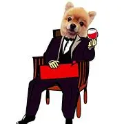 波動突き