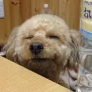 郁の画像