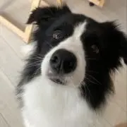 みずの画像
