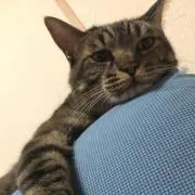 魔人 テラ