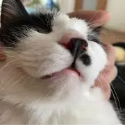 M.Tの画像