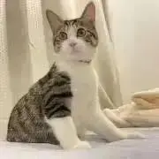 みいの画像