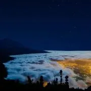 りんの画像