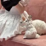 ♡の画像