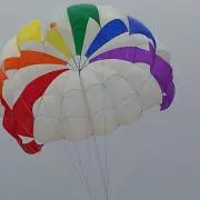 ぶんぶんの画像