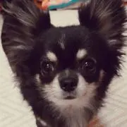 ななこの画像