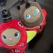 ゆきの画像