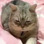ラク♡※プロフお読みくださいの画像