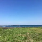 えび