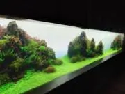 epicharisの画像
