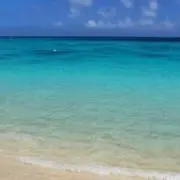 Lalapaの画像