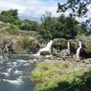 れいの画像