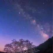 kzの画像