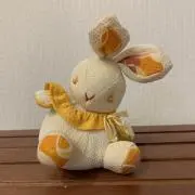 orange rabbitの画像