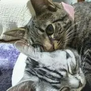 るうの画像
